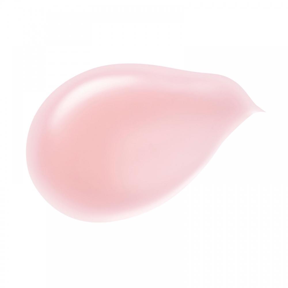 Biseriche Kos  Bisse Essence Lip Plan 001 5.5ml