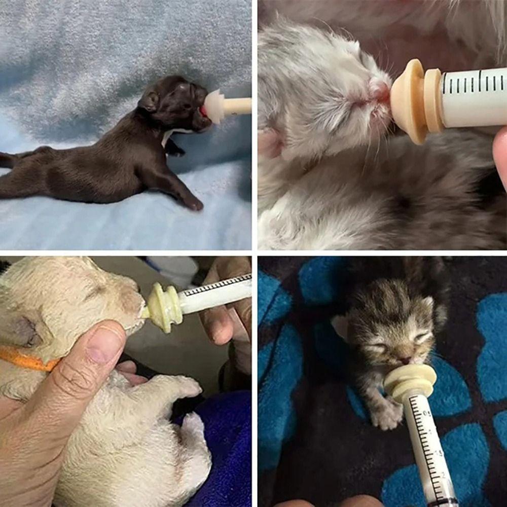 Mini Pet Feeding Nipple Dog Cat Feeding Pacifier Pet Bottle Pacifier for Kitten and Puppy