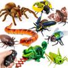 Novelty Remote Control Infrared Snake and Spider Toy