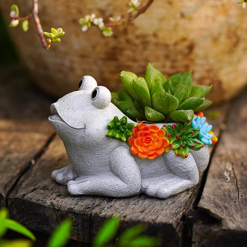 Cat Succulent Flower Plant Pots: Cute Planters for Outdoor Outside Office Decor Small Plants Cactus Live for Garden Home Desk Indoor – Plant Lovers Frog Pots