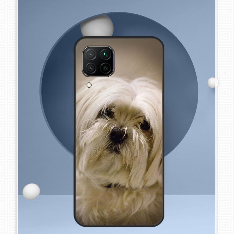 

Maltese Dog Puppies For Huawei Nova Y91 Y60 Y70 Y72 Y90 Y61 12s 12i 11i 8i 10 9 SE P20 P40 Lite P30 P60 Pro Case Huawei Nova 7i