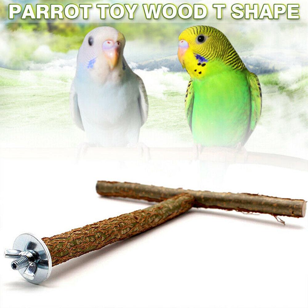 parakeet supplies