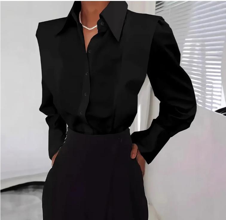 All Seasons Shirt Women's Fashion Elegant Casual Long Sleeve Shirt Tops Holiday Party Tops and Blouses Women Clothes