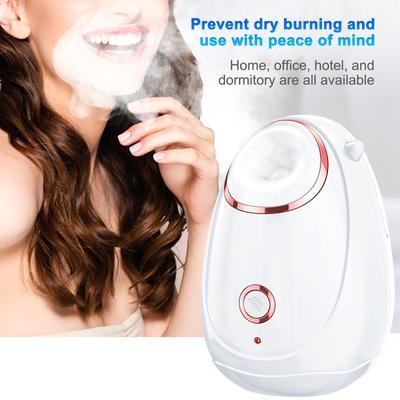 Facial Spray Moisturizing Device Portable Hydrating Facial Steamer Home Nano Heat Spray Facial