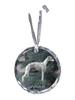 Whippet - Crystal Bauble with a Photo, Dog Photo In Crystal, Personalized Christmas Tree Ornament by Brand