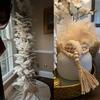 Piume di Struzzo Grandi 15-40 cm 10 Pezzi Piume Decorative Naturali Per Matrimoni Allestimenti Floreali Costume di Carnevale Cappello Decorazione