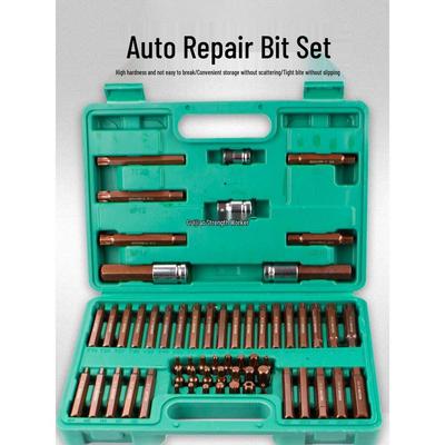 60-Piece Spline Socket Wrench Set: 12-Point Star & Torx Bits for Auto Repair