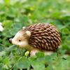 Mini Hedgehog Resin Figurine Miniature Animal Figures Cake Topper Decoration Tiny Hedgehog Ornaments for DIY Fairy Garden Moss Landscape Home Decor