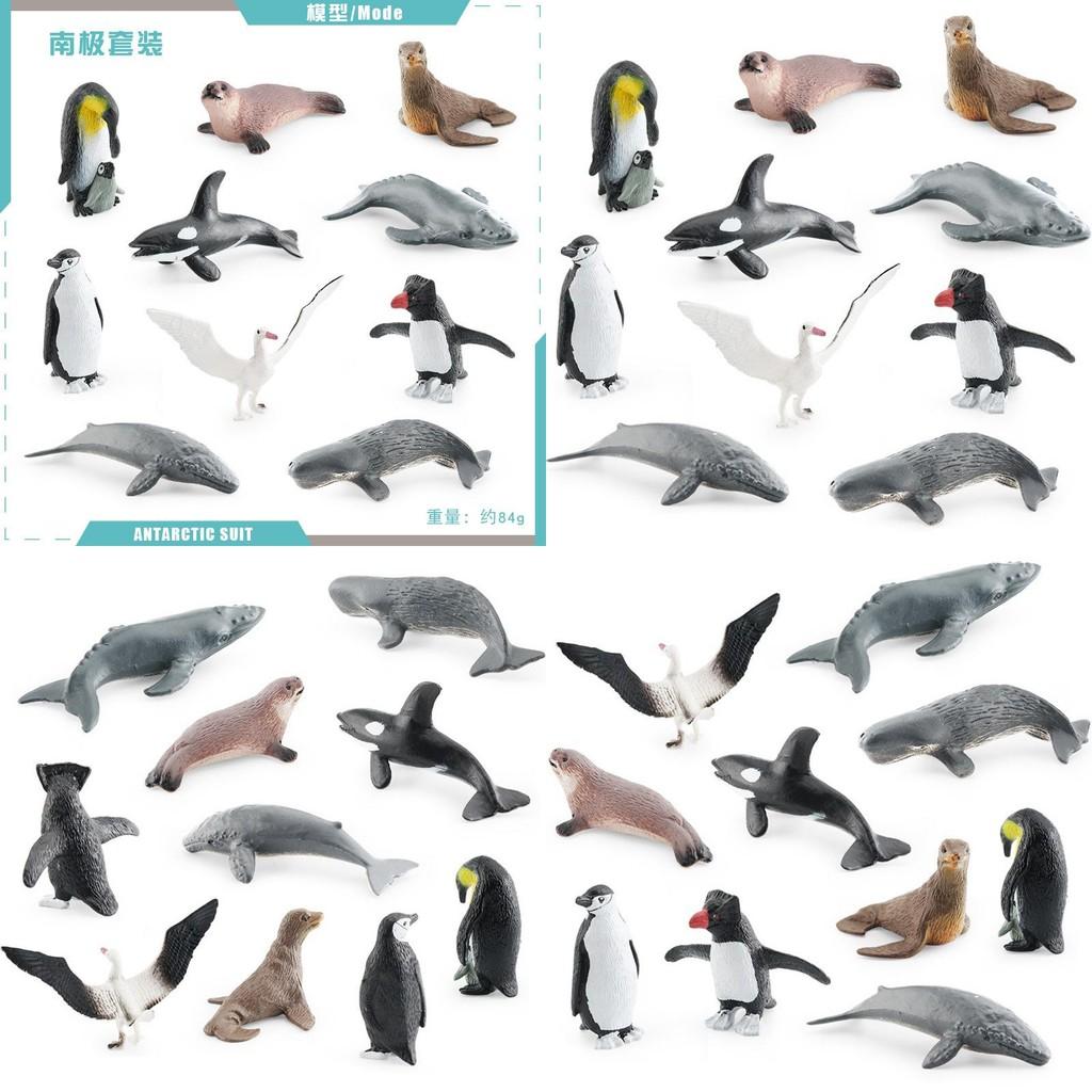Detailed Pvc Antarctic Ocean Animal Model Set With Penguin Whale Seal And Albatross