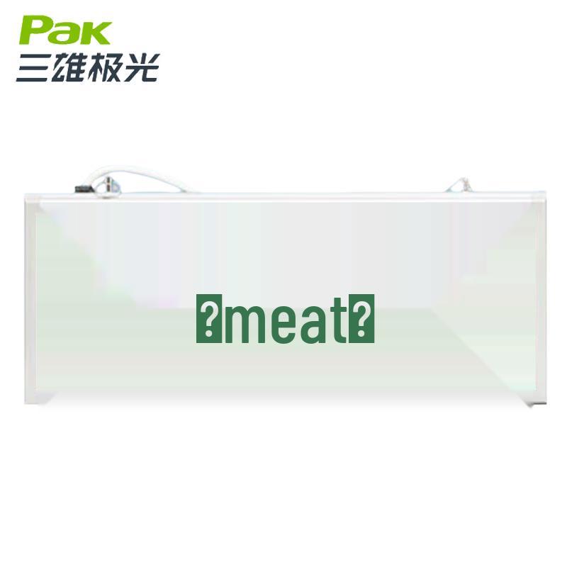 Sanxiong Aurora LED Emergency Evacuation Sign Light, Hanging