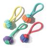 Hot Selling Pet Training Toys Bite Resistant  Pet Gnawing  Tolerance Rope Design Pet Dog Chew Toy