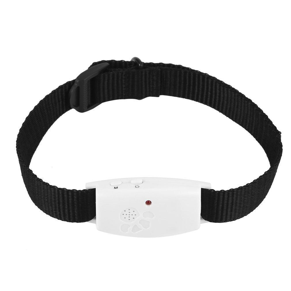 ultrasonic cat collar