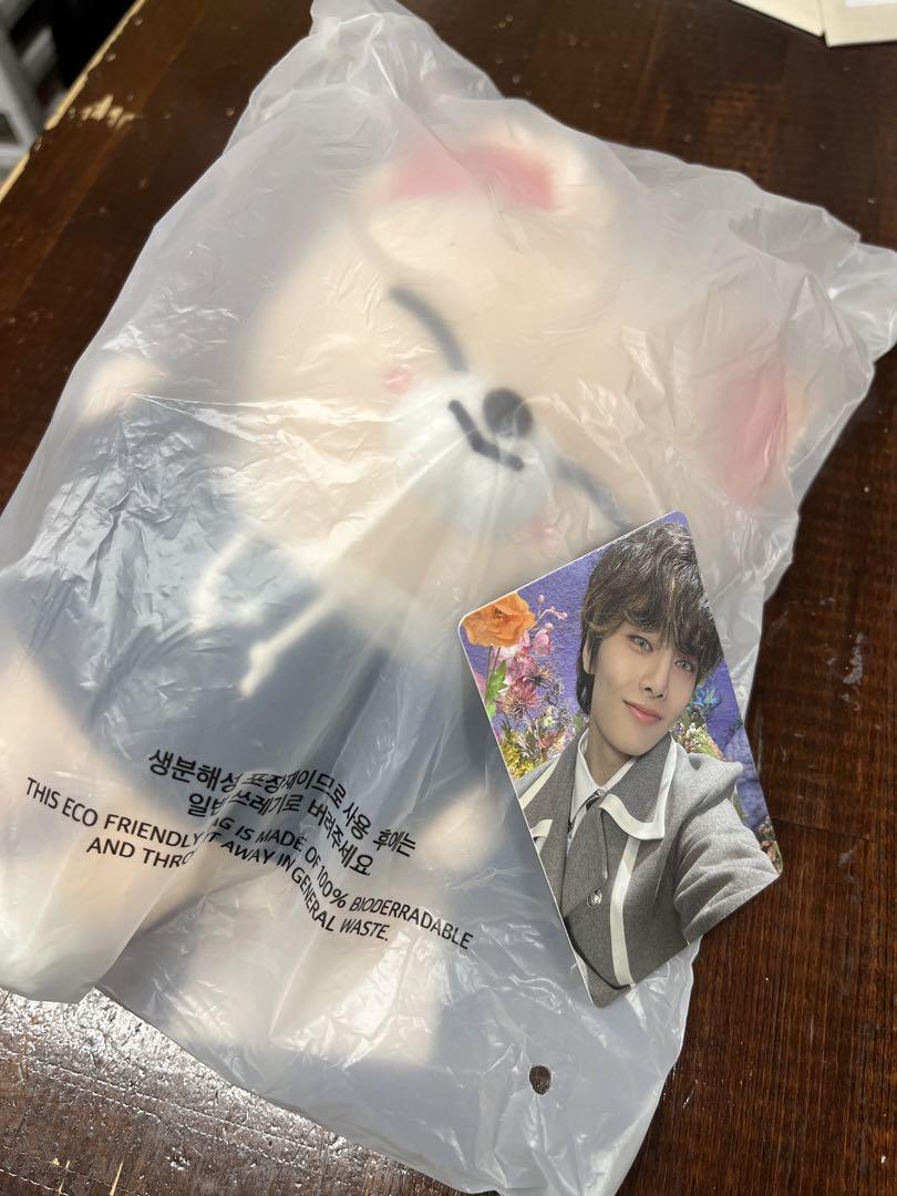 

[Б/У] ПЛЮШ SKZOO ОРИГИНАЛЬНАЯ Версия. АИЕН