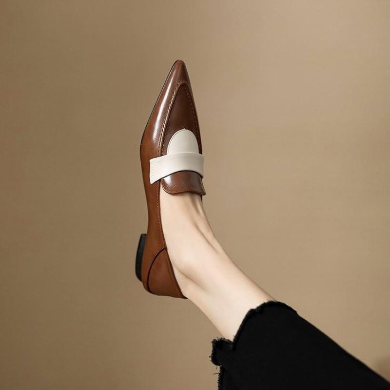 New 2024 Spring Women's Mary Jane Shoes Shallow Pointed Toe Women's Elegant Low Heel Women's Casual Shoes