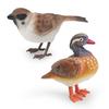 Charming Static Bird Models Of Duck Sparrow Finch And Tit Perfect For Home Decor And Nature Enthusiasts