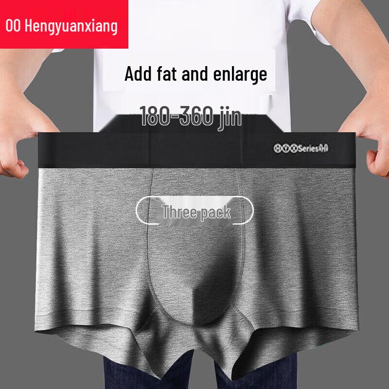Hengyuanxiang Men's Plus Size Cotton Antibacterial Boxer Briefs