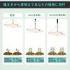 Aokson 1500W Equivalent Warm White 490 LED Ultra-Thin Full Spectrum Grow Light, Supplements Light for Insufficient Light, Perfect for Home Gardens, Ve