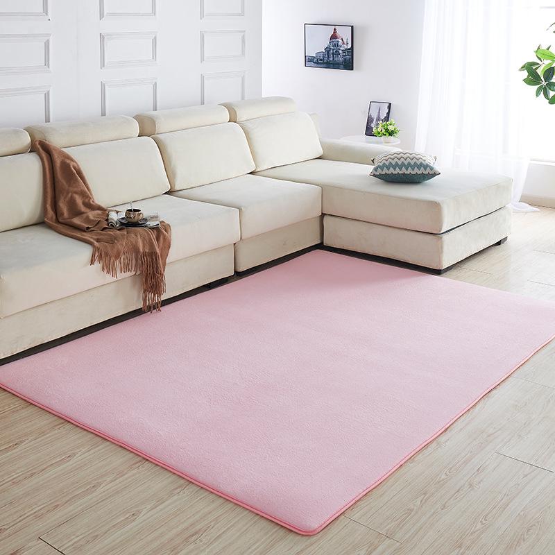 Soft Solid Color Coral Fleece Carpet for Bedroom and Living Room
