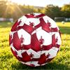 Cristiano Ronaldo Printed Size 5 Soccer Ball Wear Resistant Standard Adult Training Football Fan Gift for Indoor Outdoor Match Sports