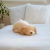 Ribuhato Premium Nemu Nemu Animals Golden Retriever Body Pillow 74cm Soft Plush Stuffed Toy