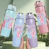 1PC Ties Bow Ribbon Pastel Color Print 750ml Color Plastic Sports Water Bottle Leakproof Flip Straw Lid Suitable for Sports Office Home Use