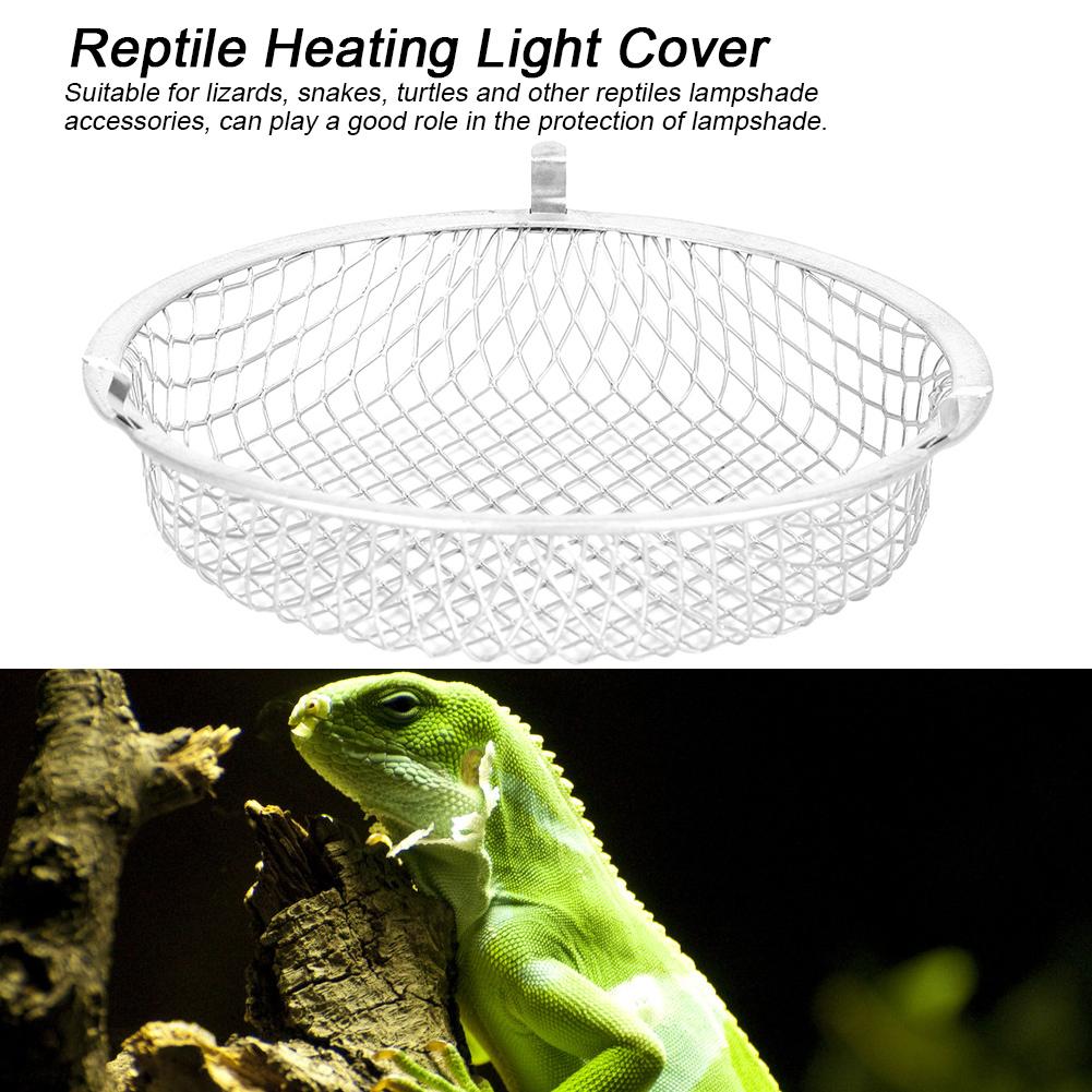 lizard cage accessories