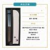 Stylish Business Fan Set with Fan Case and Handkerchief Lucky Charm [Osaka Choseido] Men's - (Turtle Green)