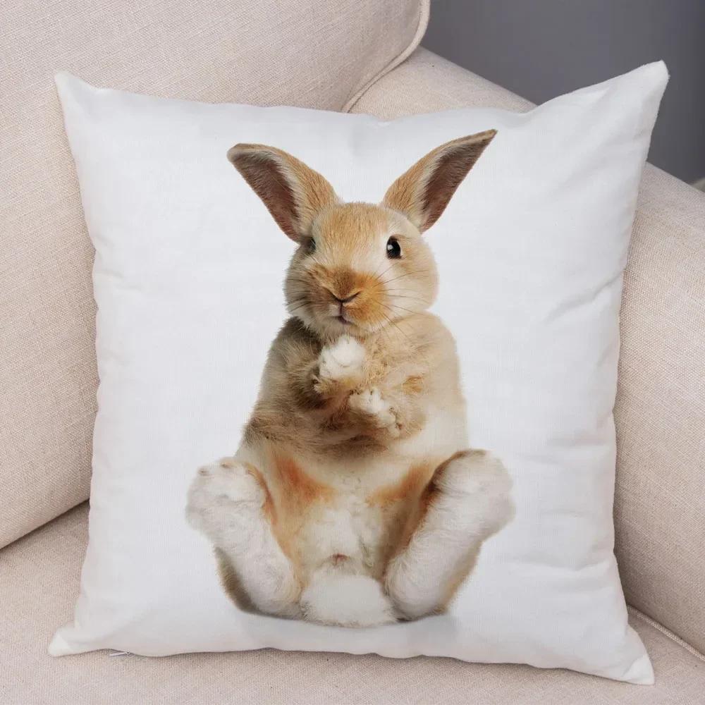 Home Sofa Kids Room Decor Cute Pet Animal Print Cushion Cover Pillowcase  Rabbit
