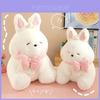 Plush Rabbit Toy With Pp Cotton Filling For Kids Playroom And Bed Decor