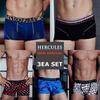 [Hercules Underwear] Simple Solid Comfort and Individuality 3-Pack Series 3 [Shipped from Korea] 100% Authentic
