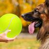 9.5‘um Oversize   Tennis  s Inflatable Tennis   with Pump Dog Toy  s For Signature Children Adult Pets Dogs Cats Fun
