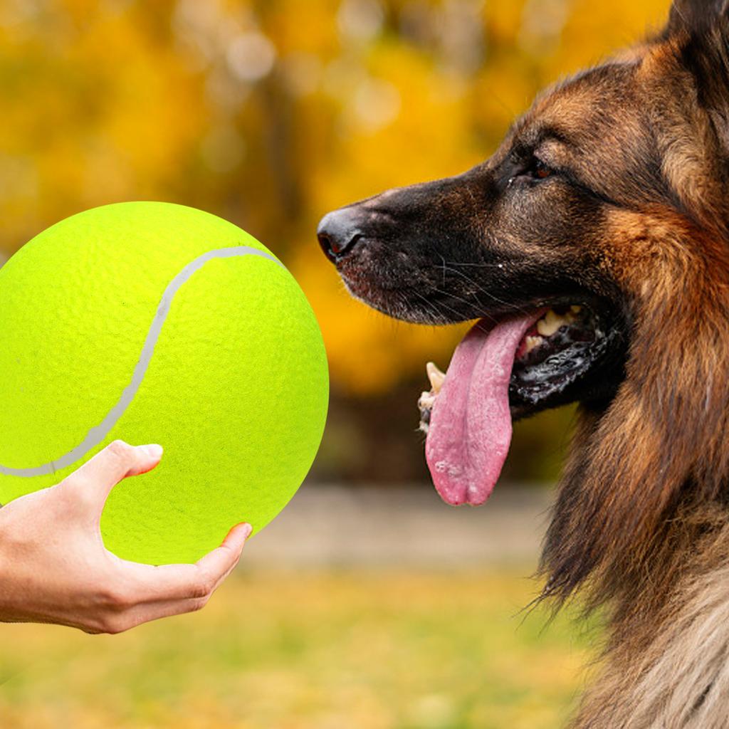 9.5‘um Oversize Tennis s Inflatable Tennis with Pump Dog Toy s For Signature Children Adult Pets Dogs Cats Fun