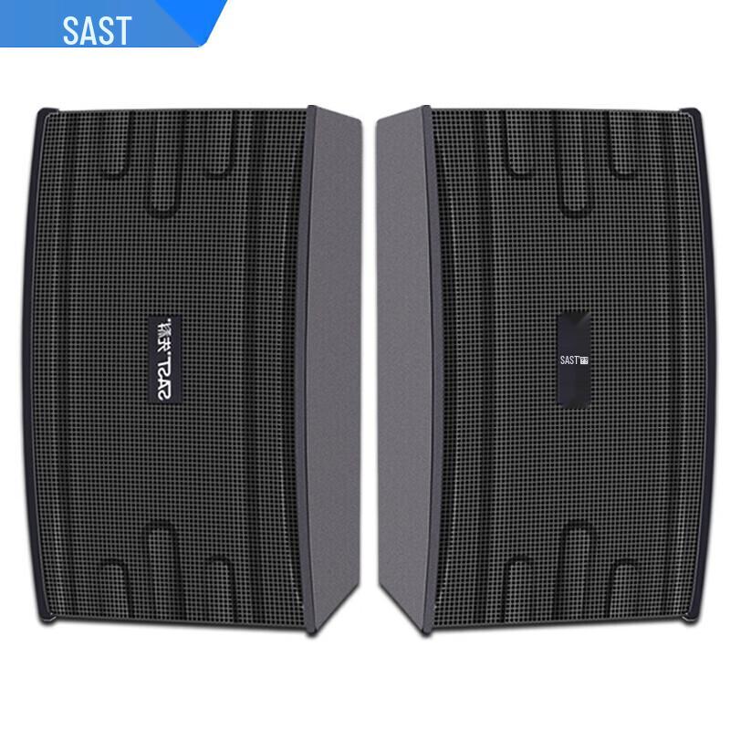SAST Professional KTV & Conference Passive Speakers