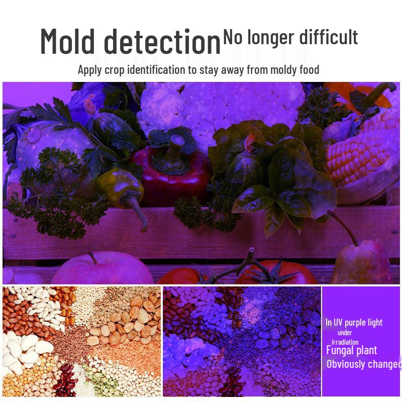 UV Purple Money Detector Pen - 365nm, Detects Vegetable Contaminants, Fluorescent Blue, Bordeaux Mixture, Pesticide Residues.