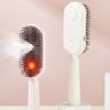 Multi-Function Red Light Spray Massage Comb Anti-Frizz Large Tank 2-In-1 Misting Hair Brush  Gift