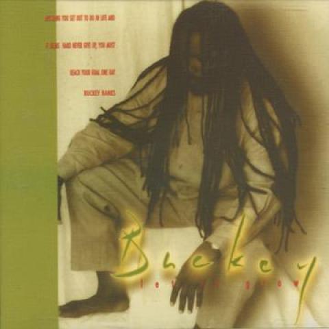

CD BUCKEY - Let It Grow SGCCD009 Spice Groove Cr 2010 UK Reggae, Ska & Dub