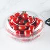 Penguin Group Disposable Round PET Plastic Fruit Salad Takeaway Containers with Holes