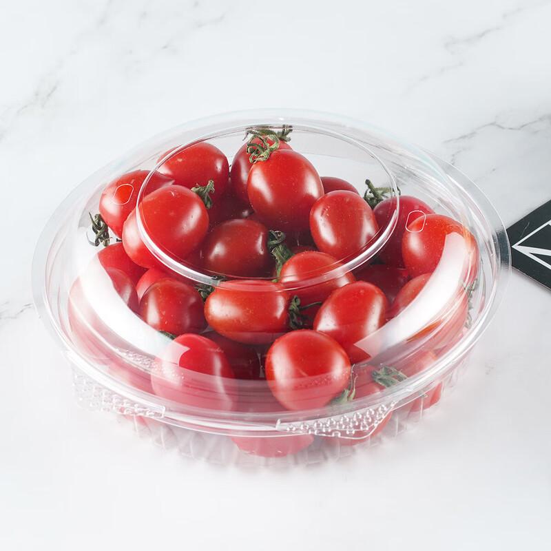 Penguin Group Disposable Round PET Plastic Fruit Salad Takeaway Containers with Holes