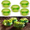 Set of 6 Slug Collars for Plants - Garden Vegetable Protection, Reusable Green Plastic