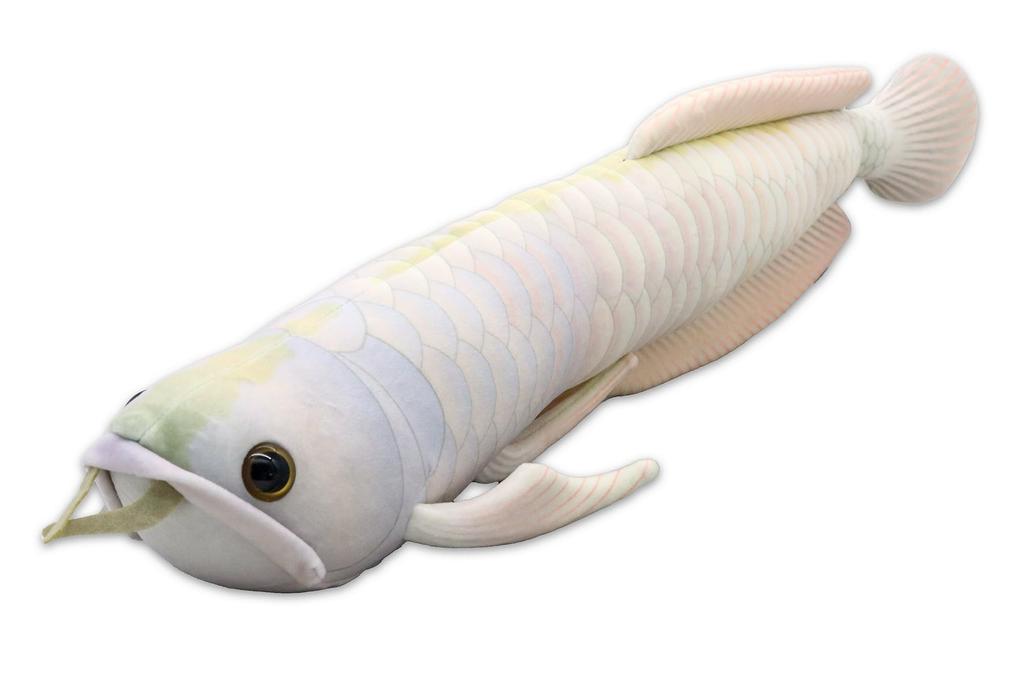 Take Off Silver Arowana Realistic Cute Fish Series