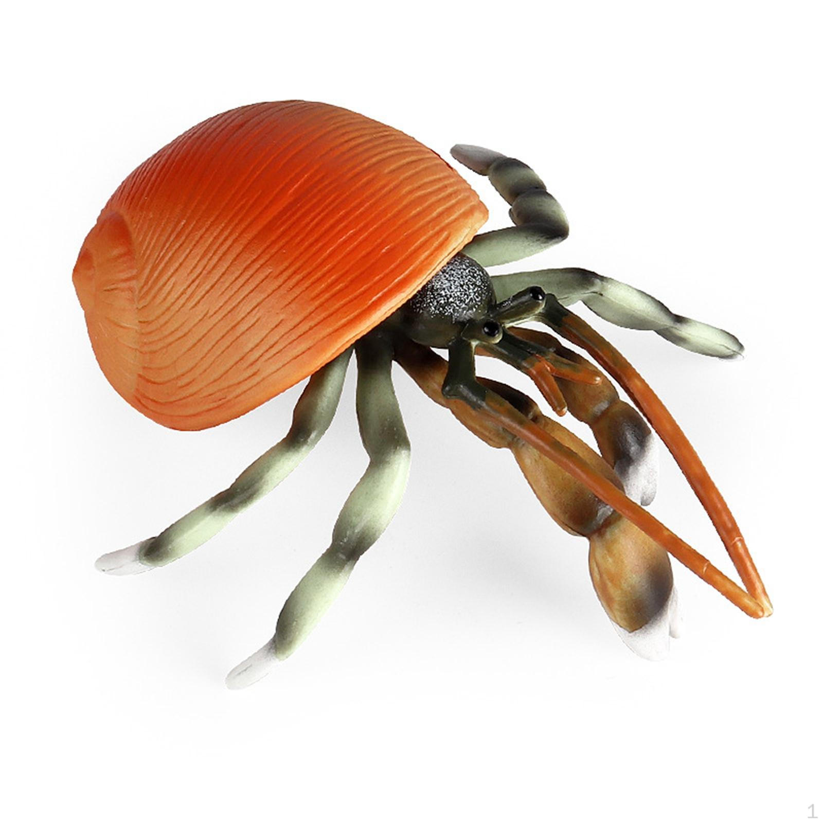 

Animal Figure, Marine Life Gift Decorations Figures for Toddlers Preschool Children