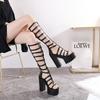 Fashion 14.5CM Brand Woman Heels Sandals For Wedges Shoes Roman Cool Fashion Punk Gothic Sandals Gladiator Platform With Zipper