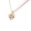 Les Trésors De Lily [J7944] - Designer Necklace 'Love' Peach Gold