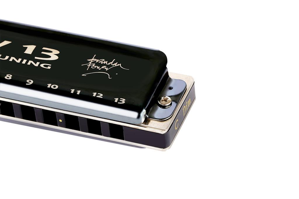 East Top Lucky13 (Diminished-C) 13-Hole Blues Harmonica in A Key, Ideal for Jazz Professionals, Adults, and Children, Perfect for Study and Practice,