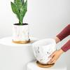 Marble Pattern Ceramic Flower Pot with Gold Tray - Nordic INS Style