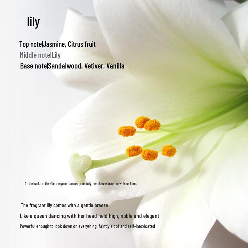 Oriental Gem Egyptian Queen Scented Body Lotion