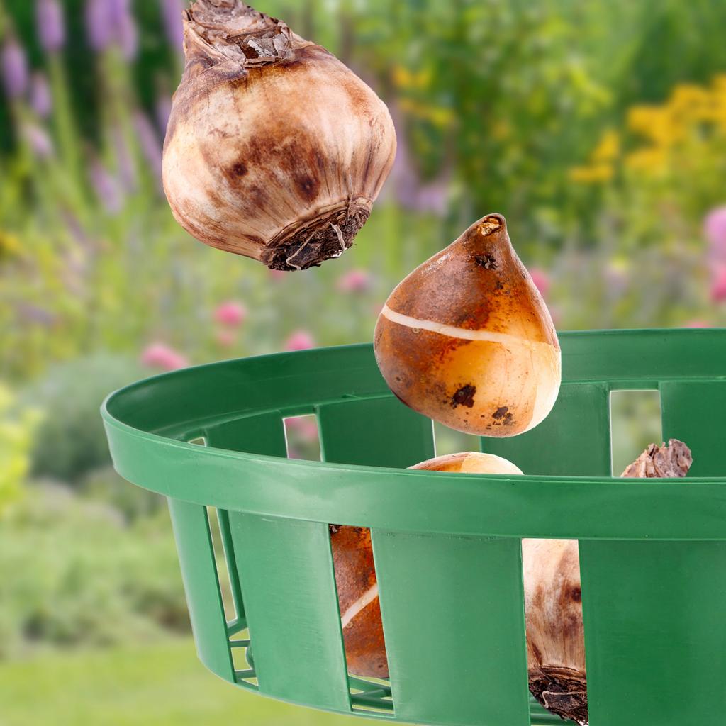 KADAX Košík Obal K Sázení Cibulí 18cm 10ks