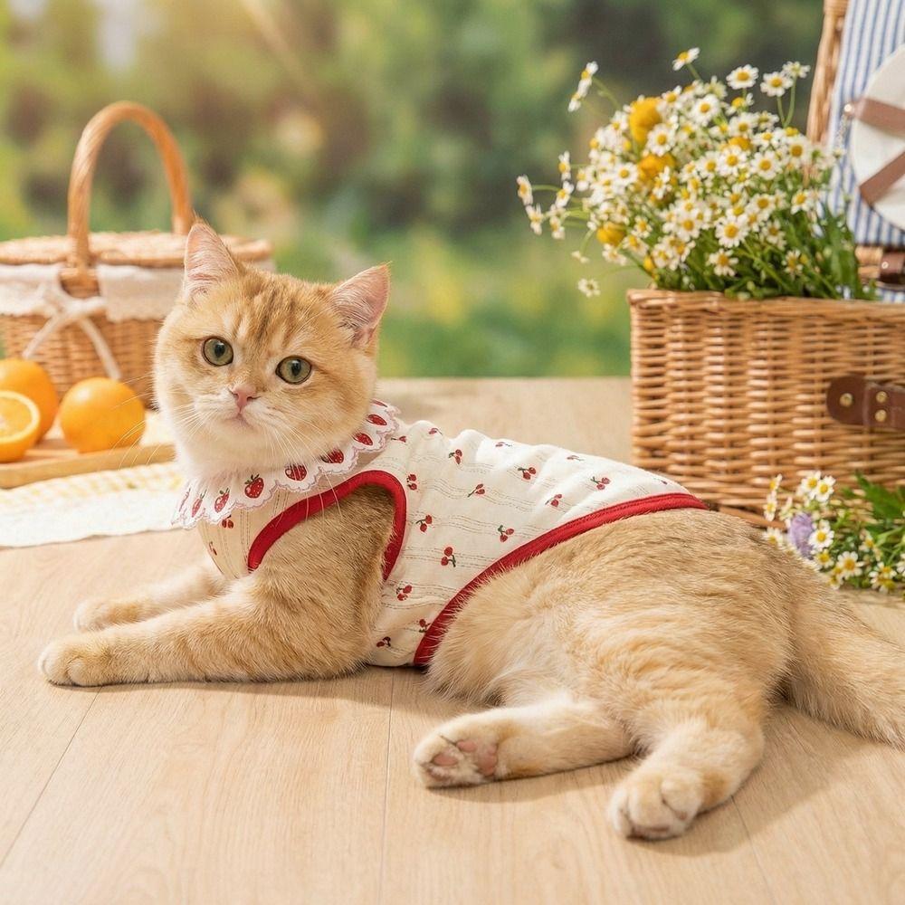 Cherry Pattern Cat Strawberry Vest Ruffled Collar Pet T-shirt Cat Lace Vest  Indoor Wear