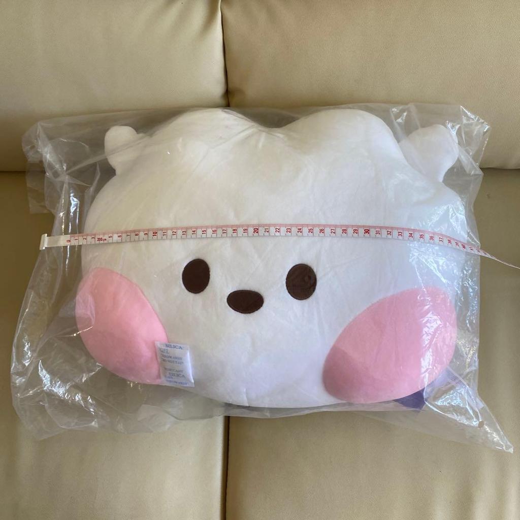 Used BT21 RJ Plush Cushion