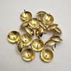 Retro Gold Round Head Thumbtacks - Decorative Extended Push Pins for Furniture or Sofa Upholstery